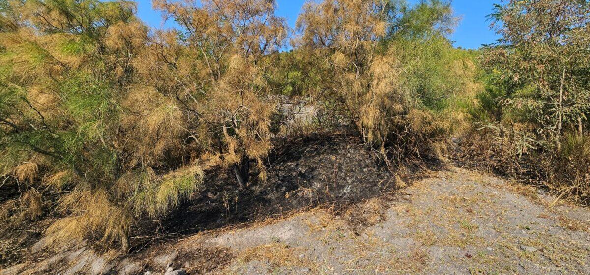 Vesuvio: Gli incendi sono finiti, ma i volontari non si fermano | Scopri cosa succede ora e perché è fondamentale! - 