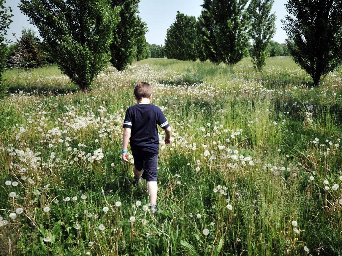 Bambini di campagna più a rischio diabete, la sorpresa da uno studio -