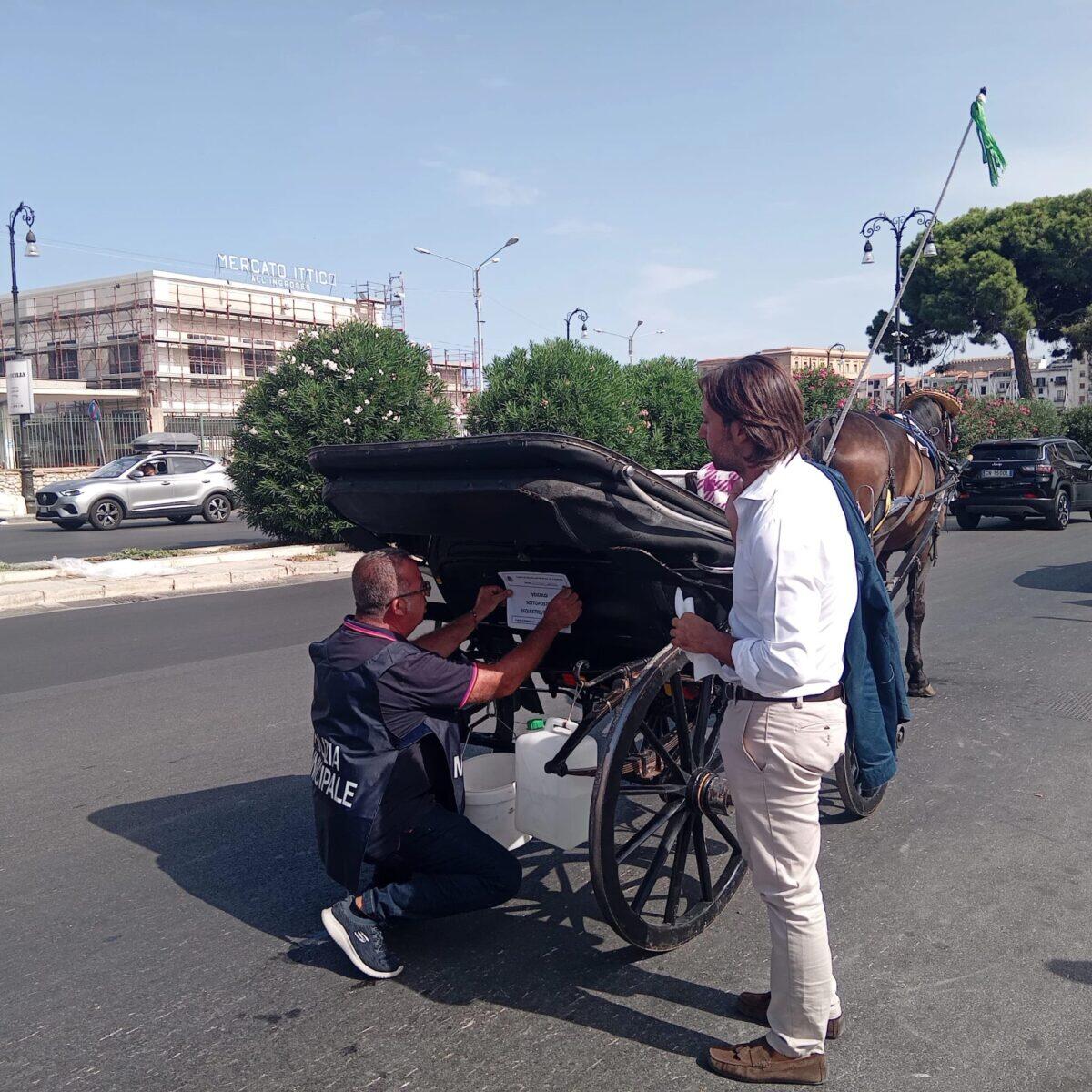 Carrozza sequestrata a Palermo | L'estate mette a rischio il turismo e il benessere animale! -