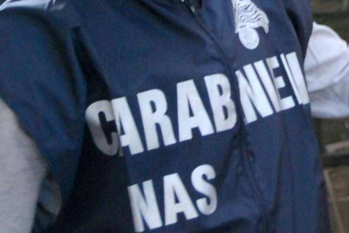 Botulino, sequestrati dai Nas oltre 600 kg di conserve e succhi a rischio - 