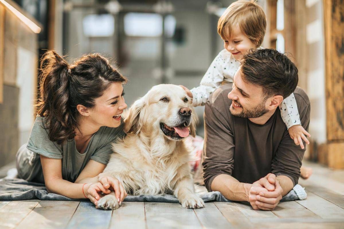 Assicurazioni per animali, da Poste coperture veterinarie su misura per ogni necessità -