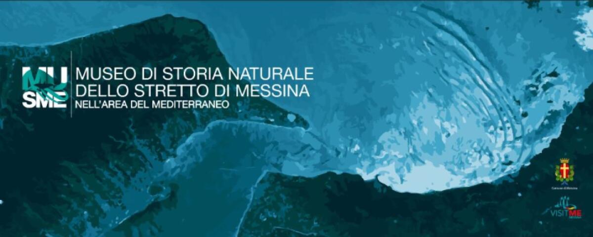 Comune di Messina sceglie esperti per Museo di Storia Naturale | Ecco perché questa iniziativa potrebbe cambiare il volto della cultura locale! -