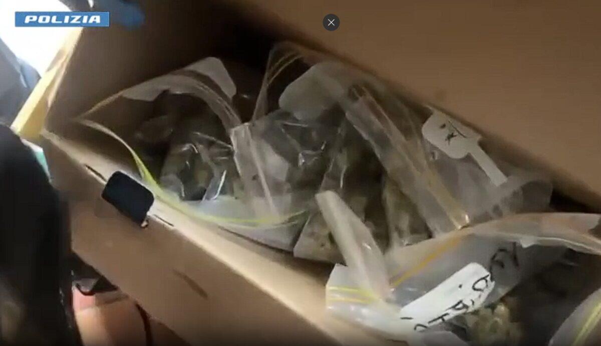 Droga in casa con il figlio piccolo | Scopri come la Polizia di Catania ha fatto il colpo grosso! -