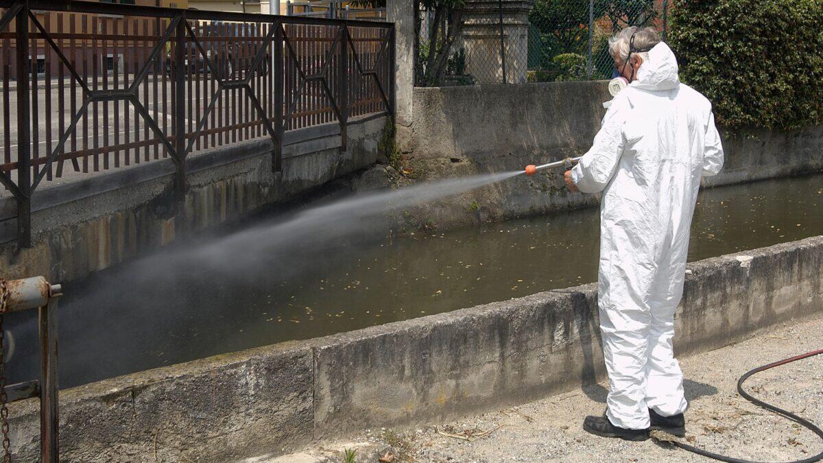 Italia in allerta: il Paese europeo con il piĂą alto numero di casi di West Nile | Sei davvero al sicuro dalle zanzare? -