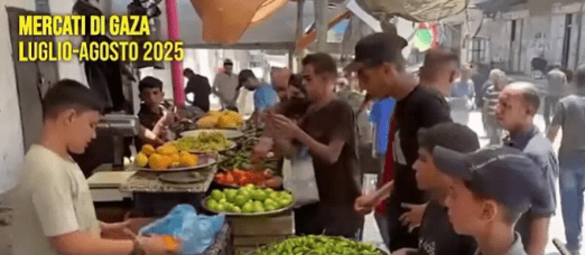 Gaza è piena di cibo? | Scopri la verità dietro la campagna del governo israeliano! - 