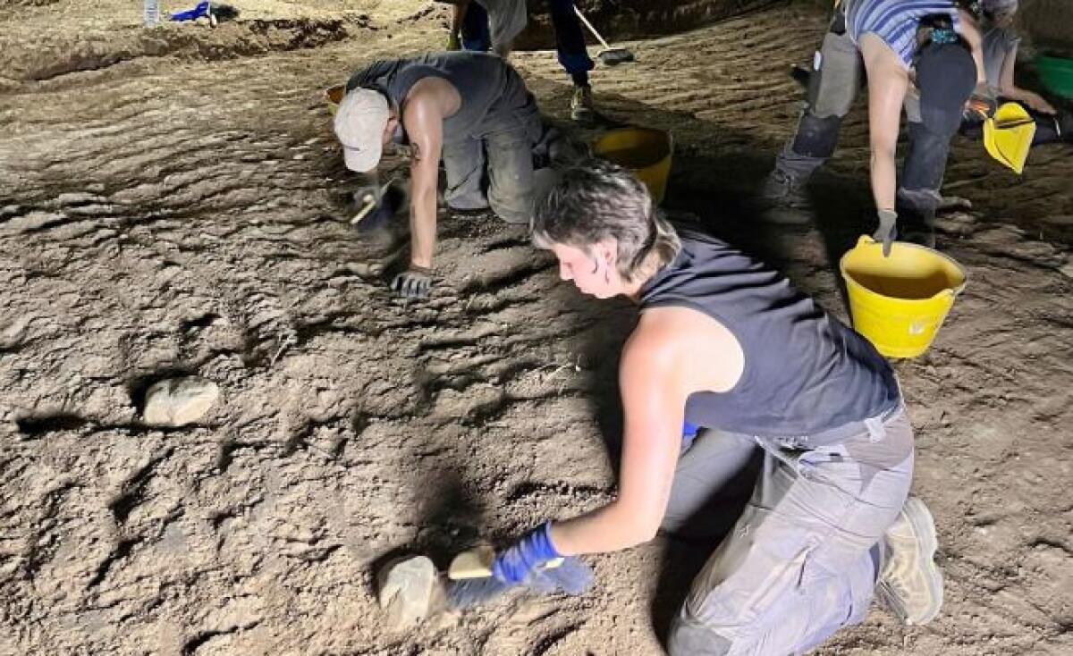 Nuovo ritrovamento nell'area archeologica di Himera | Scopri cosa svela davvero la Regione Siciliana sul nostro passato! -