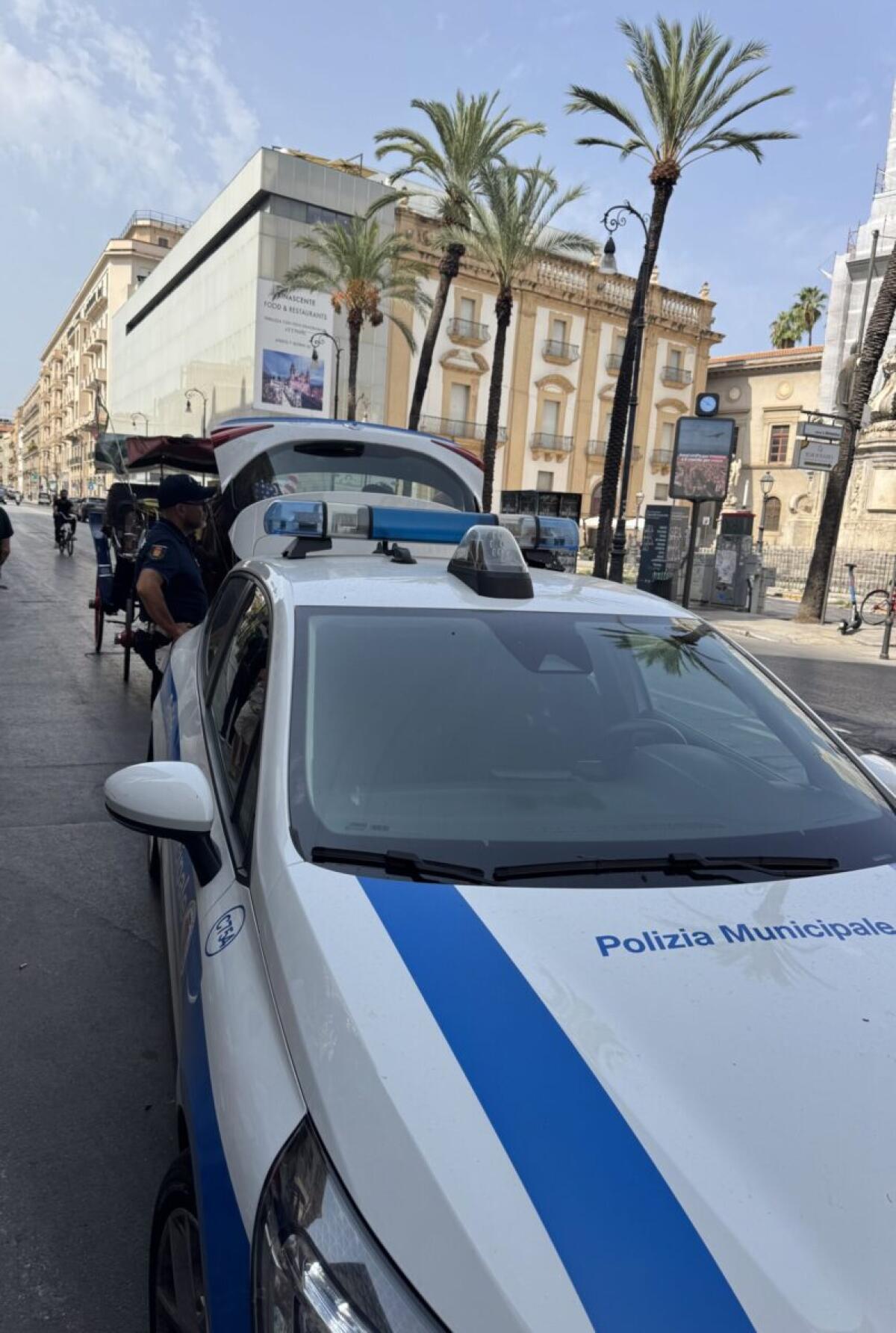 Palermo: Un vetturino multato durante il controllo del benessere animale | La verità sulle autorizzazioni sorprende tutti! - 