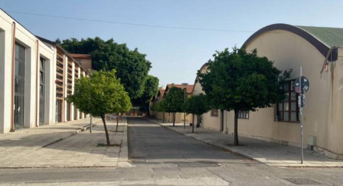 Chiusura inaspettata dei Cantieri Culturali a Palermo | Scopri perché il verde è in pericolo! -