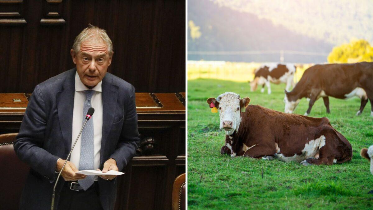 Gaffe clamorosa di Urso | Ma cosa significa davvero "fattoria" nel digitale? - 