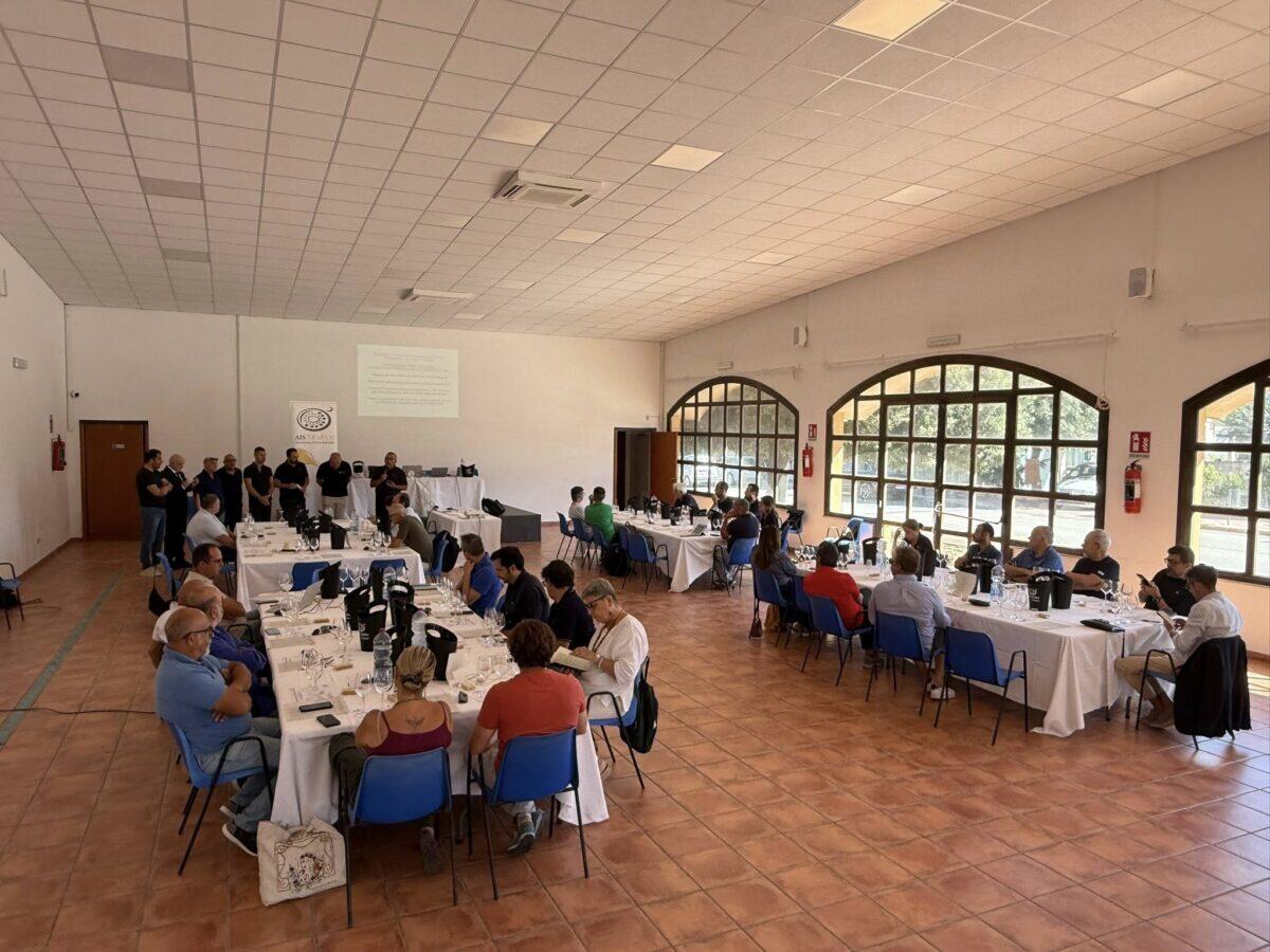 Scopri i segreti del vino siciliano | Perché Petrosino è il nuovo polo enologico da non perdere! -