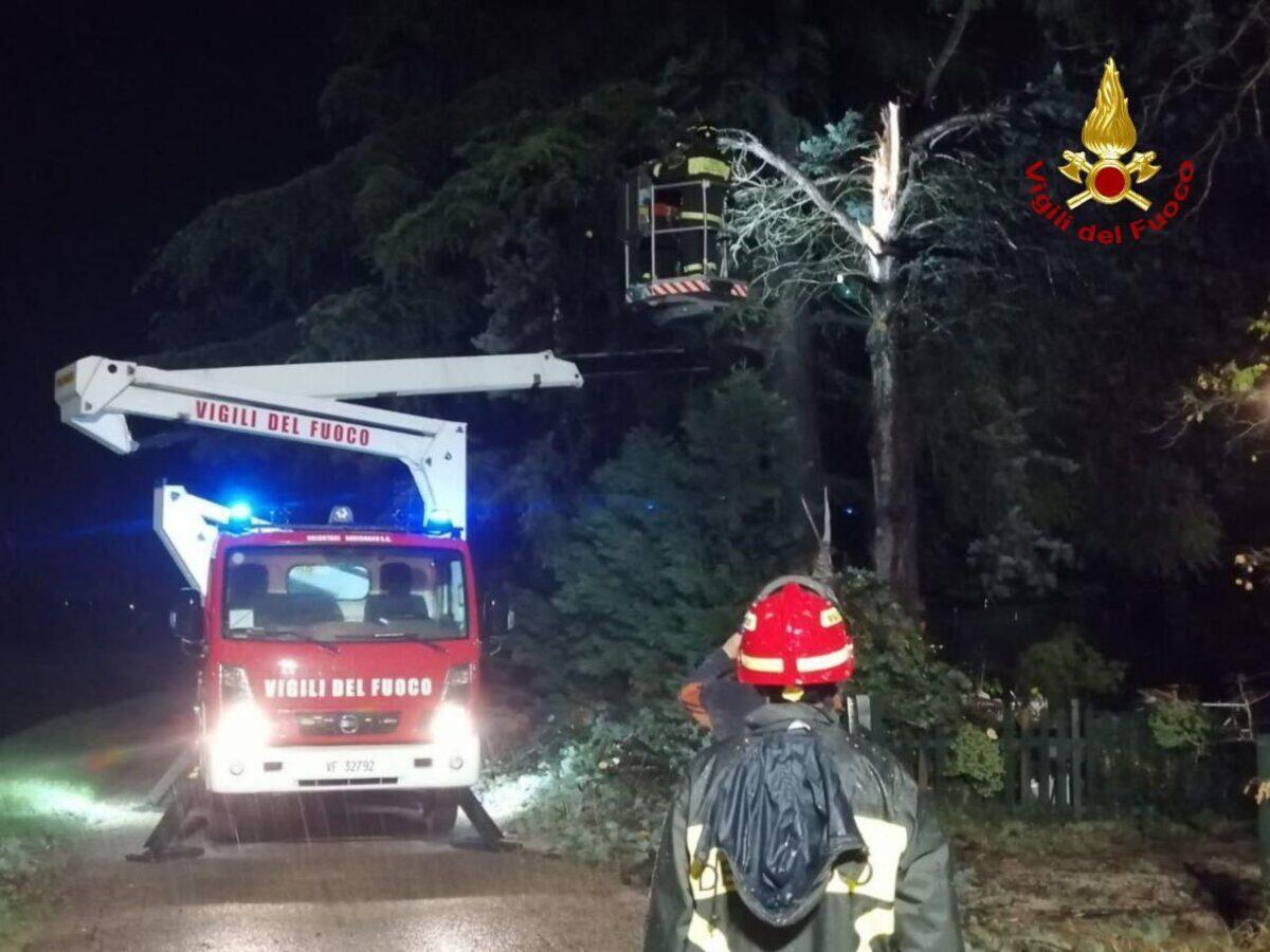 Maltempo devastante in Emilia-Romagna | Hai mai visto un treno evacuato per un albero caduto? - 