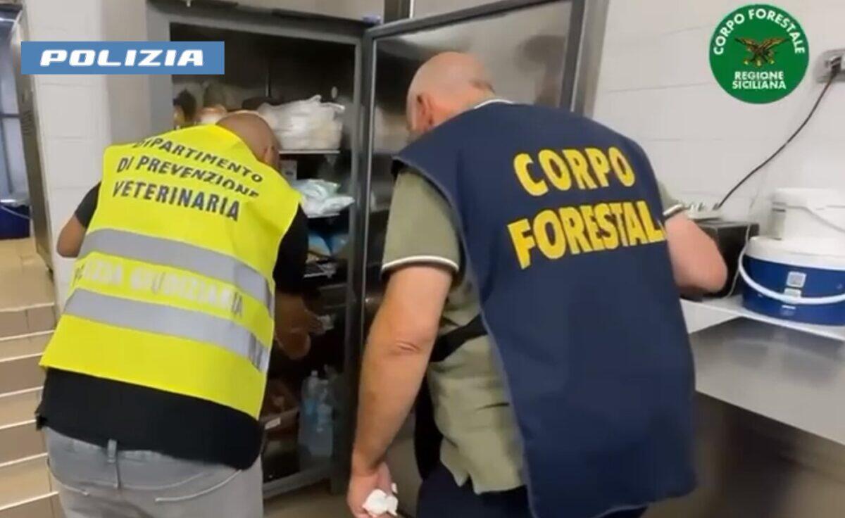 Polizia di Catania scopre blatte e violazioni | Ecco cosa si nasconde nei bar del lungomare! -