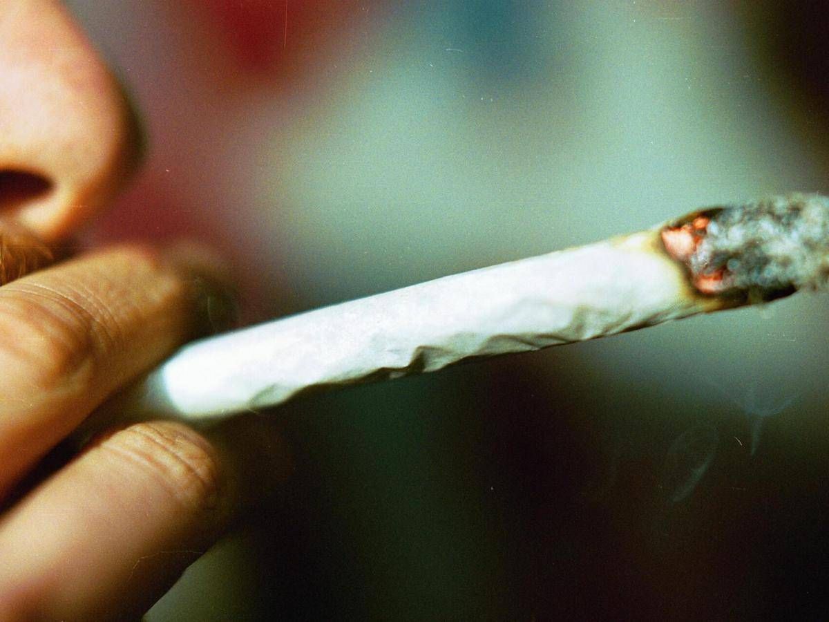 Cannabis, potenza in aumento: 5 cose da sapere su rischio psicosi - 