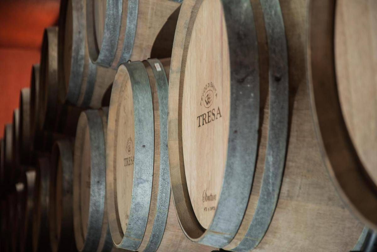 Vino: con Santa Tresa torna in etichetta il vitigno siciliano 'scomparso' Orisi -
