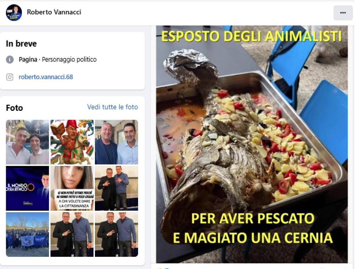 Vannacci posta foto cernia al forno: "Animalisti denunciatemi, l'ho anche mangiata" - 