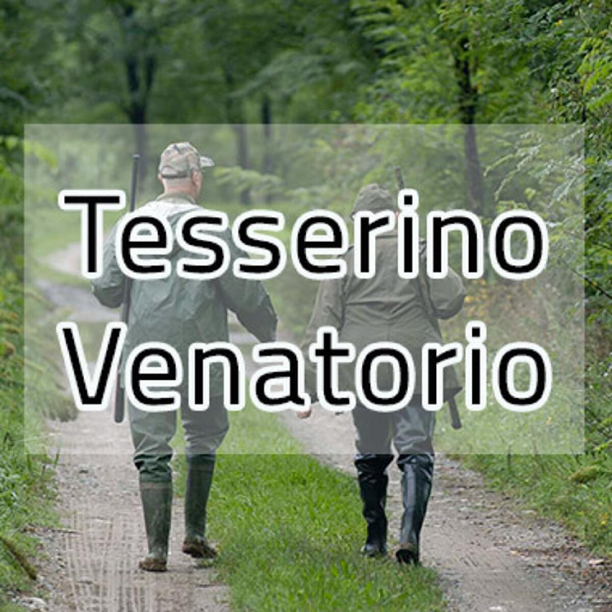 Tesserini venatori 2025/2026 | Tutto quello che il Comune di Messina non ti ha mai detto! - 