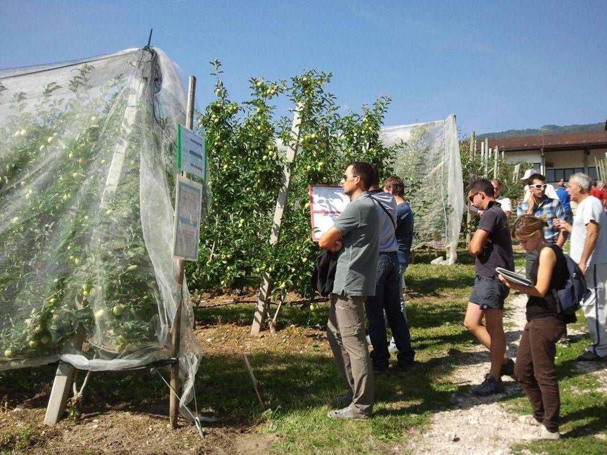 Bonus agricoltori, al via da oggi le domande: a chi spetta e come funziona - 