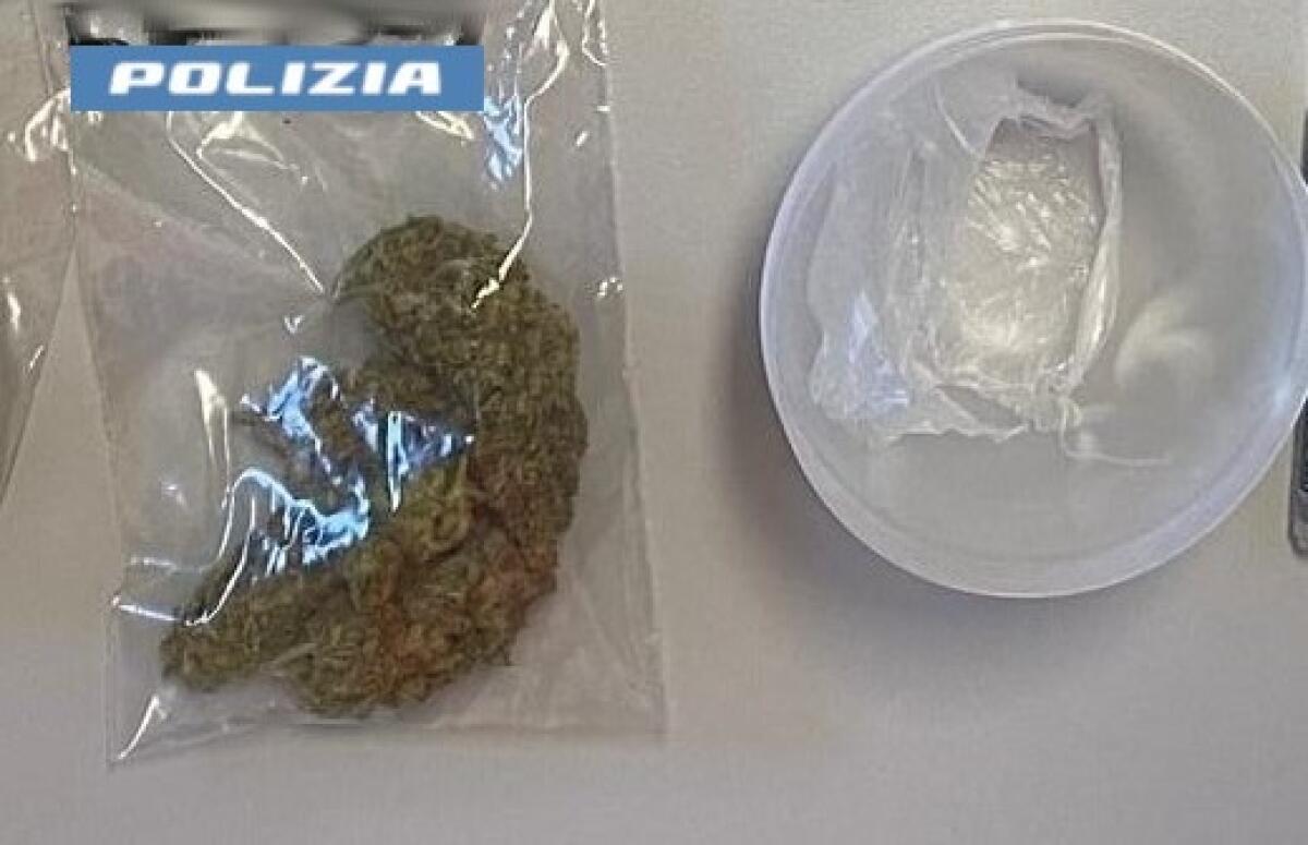 Catania: Un 49enne e il segreto nel bagno | Come i cani della Polizia hanno svelato un intrigo sorprendente! -