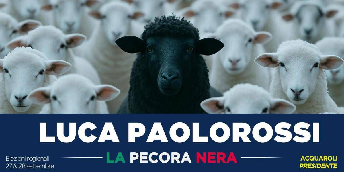 Paolorossi si candida alla Regione Marche: “Io ‘pecora nera’ che fa quello che dice” - 