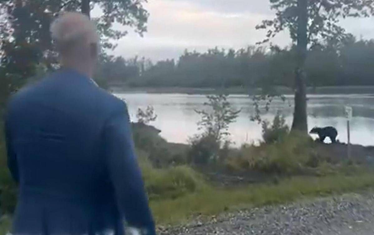 Dmitriev incontra un orso in Alaska prima del vertice: "Sia di buon auspicio" - 