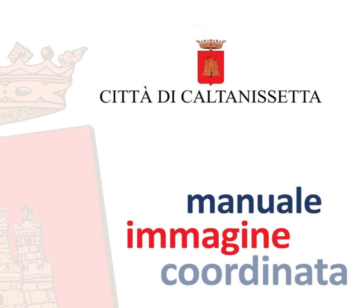 Caltanissetta si Rinnova | È davvero possibile un'identità visiva unica per il Comune? - 