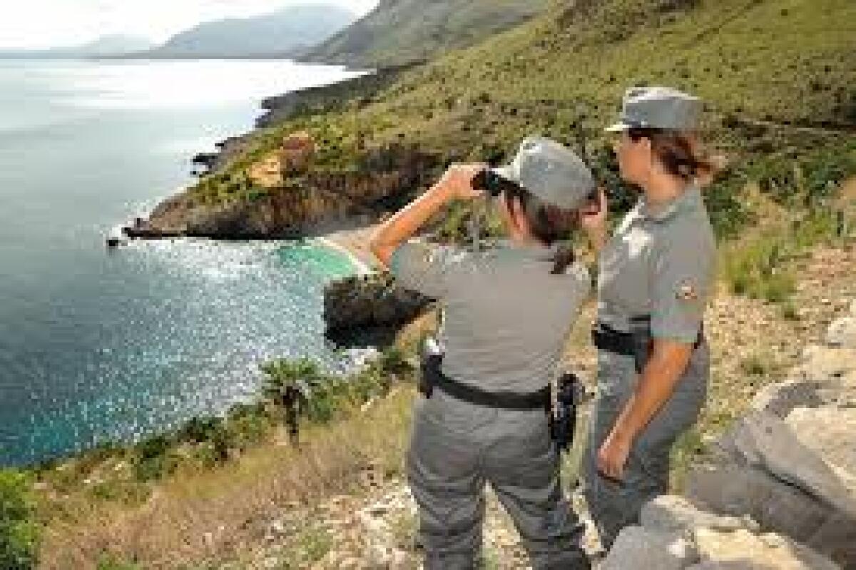 255 nuovi agenti per la Regione Siciliana | Scopri perché la riforma dell'ambiente è più urgente che mai! - 