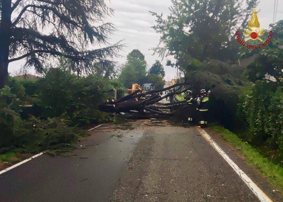 Maltempo al centronord, alberi caduti e allagamenti: oltre 1300 gli interventi dei Vigili del Fuoco -