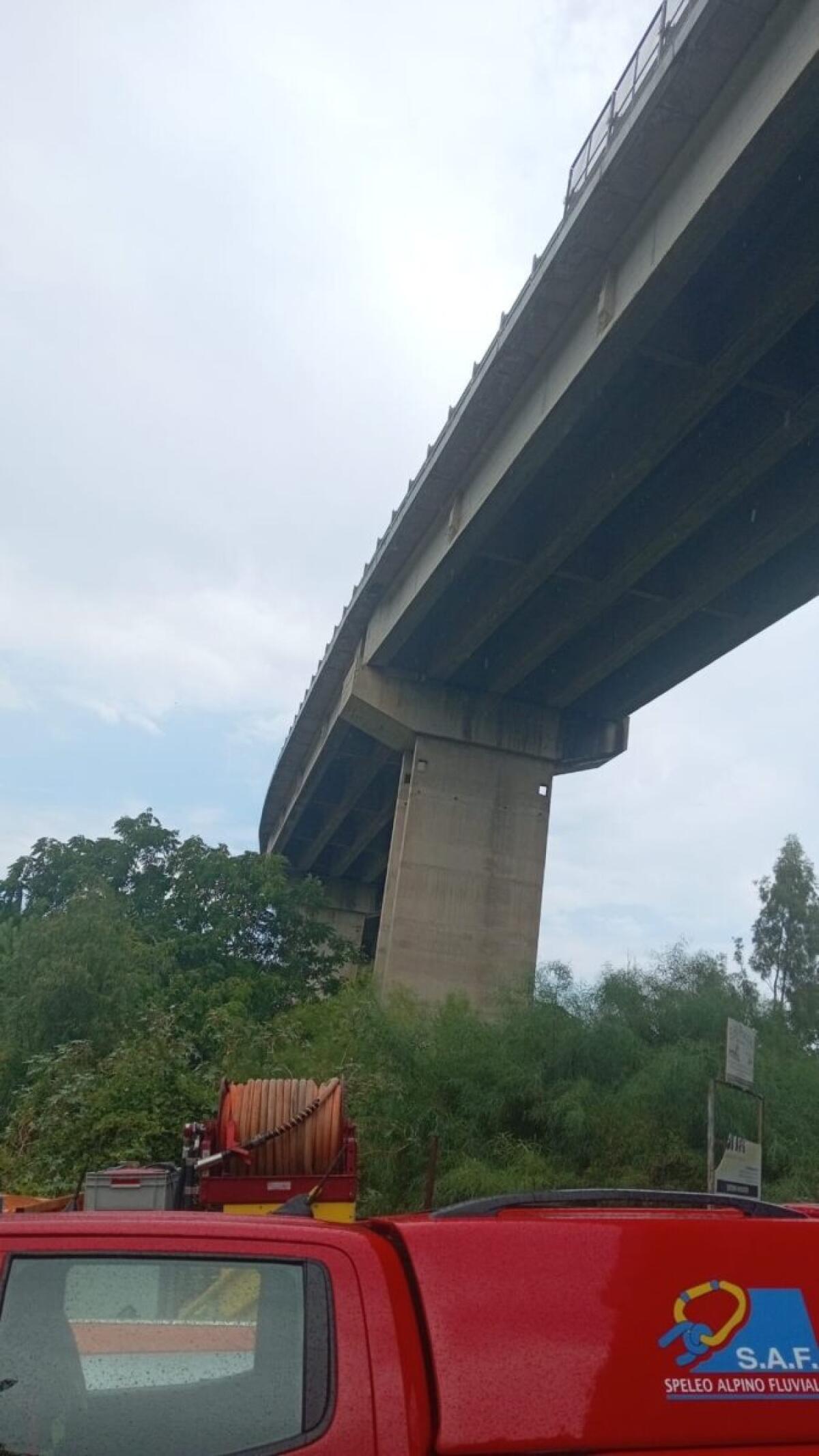 Cane lanciato dal ponte di Palermo | Un gesto di crudeltà che non possiamo ignorare! - 