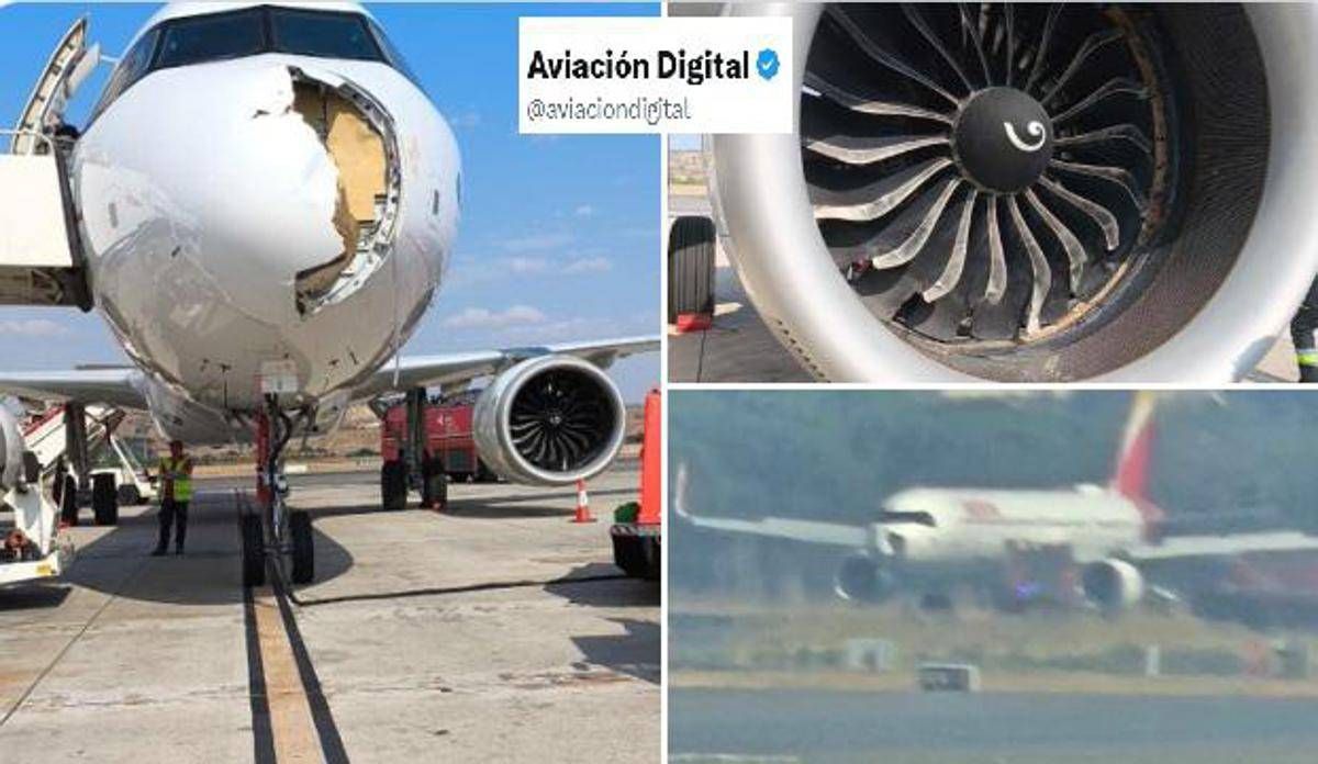Atterraggio di emergenza per volo Iberia, collisione con un uccello e danni al motore - 