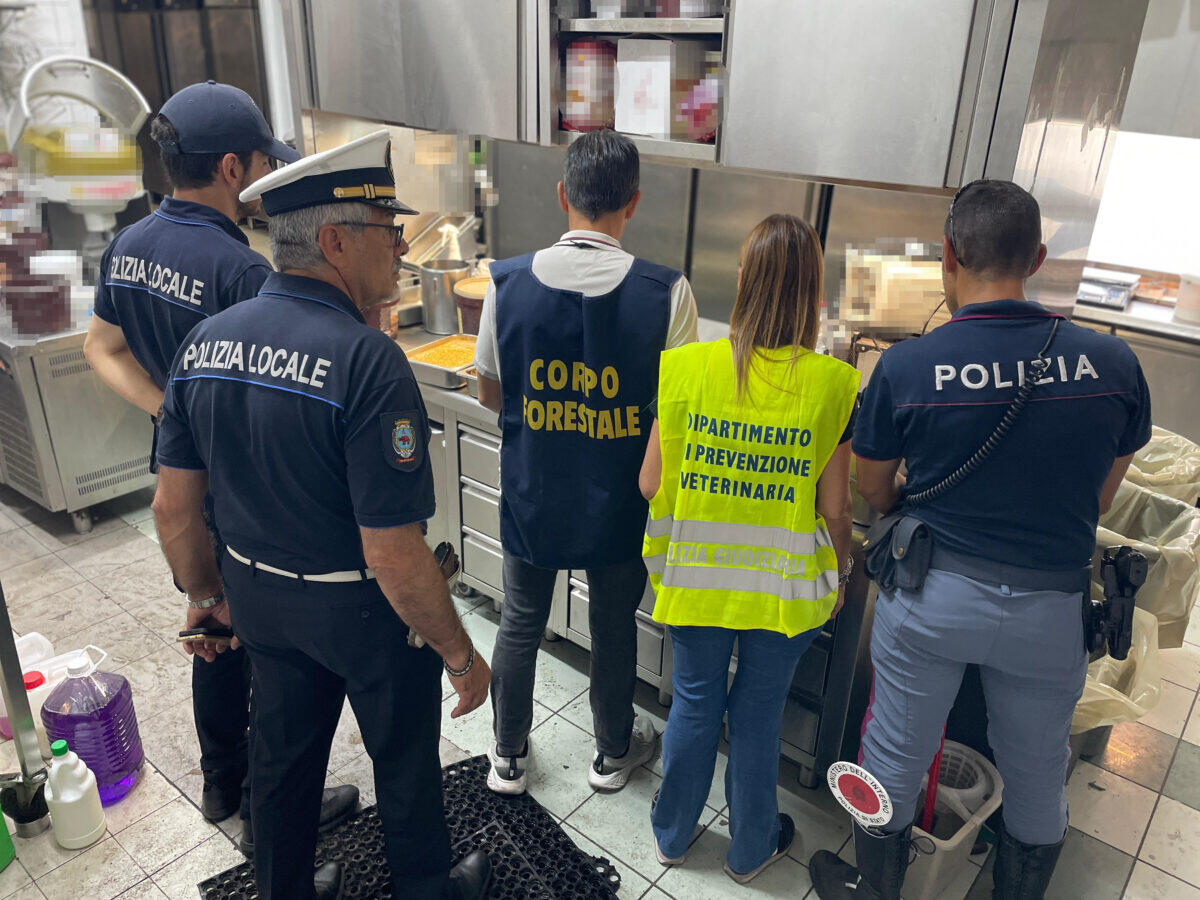 Catania: la Polizia scopre 190 kg di alimenti avariati | Svela un colossale giro di irregolarità nei bar cittadini! - 