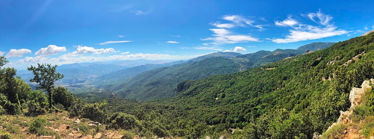 Un patrimonio naturale senza confini: un parco che trovi solo in Sicilia ed è unico al mondo - Foto: Davide Mauro/Wikipedia