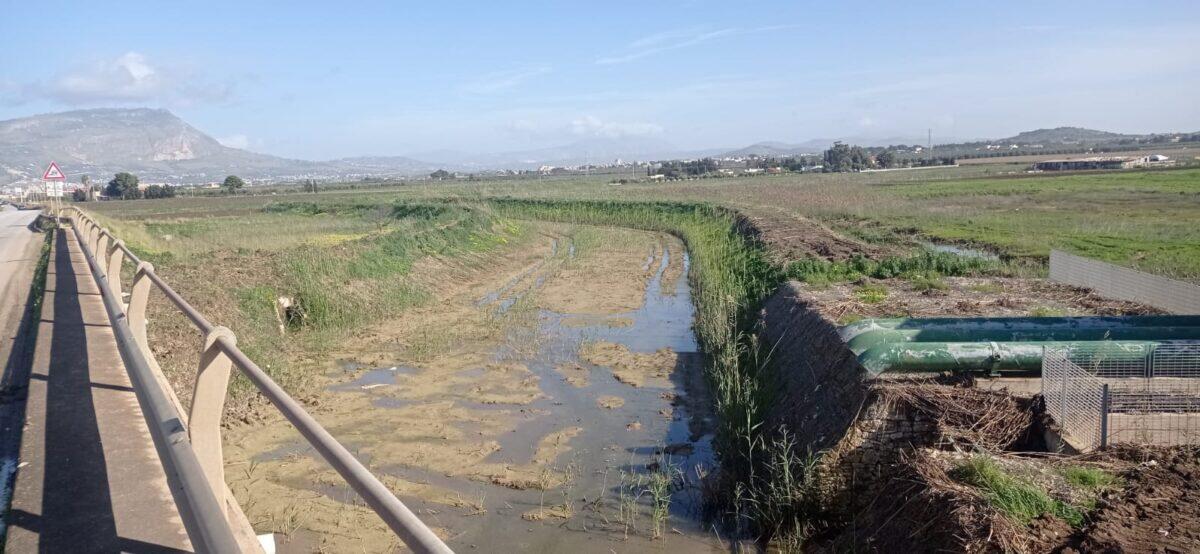 Regione Siciliana: misure straordinarie per la crisi idrica | Gli agricoltori sono davvero pronti a reagire? - 