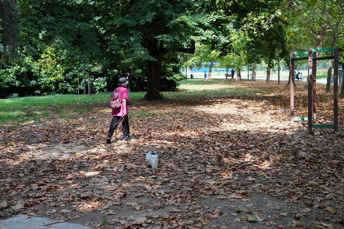Arriva l'autunno, cos'è l'equinozio e quando cade -