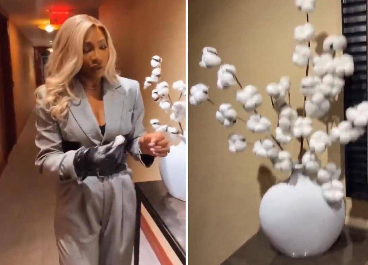 Serena Williams e la pianta di cotone in hotel: "Non va bene" - 