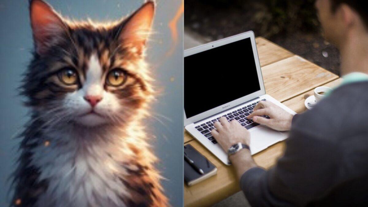 Racket di Boss Miao: le "avvocatesse" sono davvero dalla parte delle vittime? -