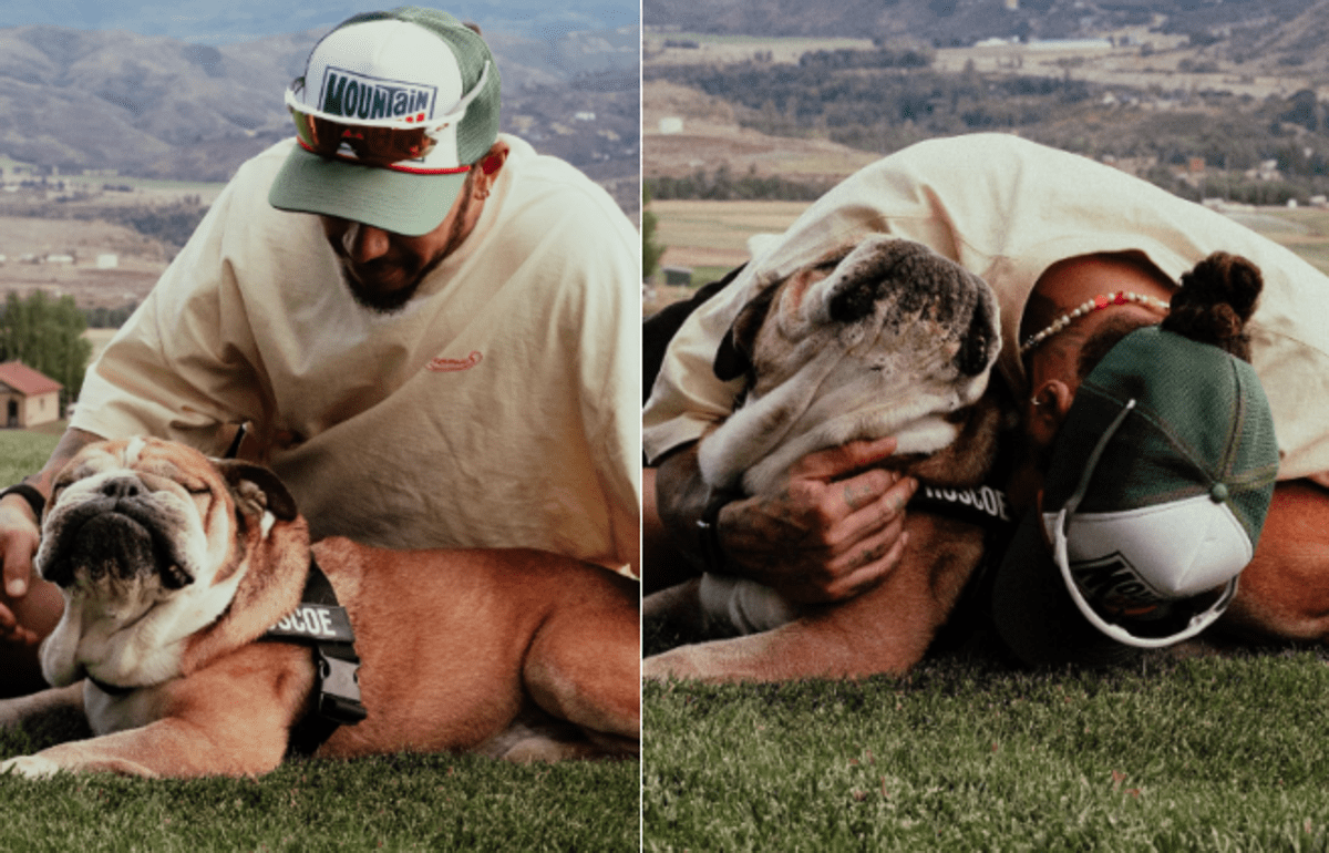 Hamilton, è morto il cane Roscoe: "La decisione più difficile della mia vita" - 