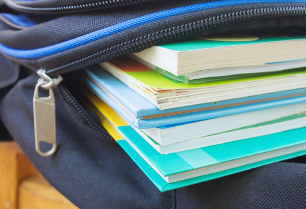 Comune di Messina anticipa i buoni libro | Scopri come questa mossa sta cambiando il futuro delle famiglie in difficoltĂ ! -