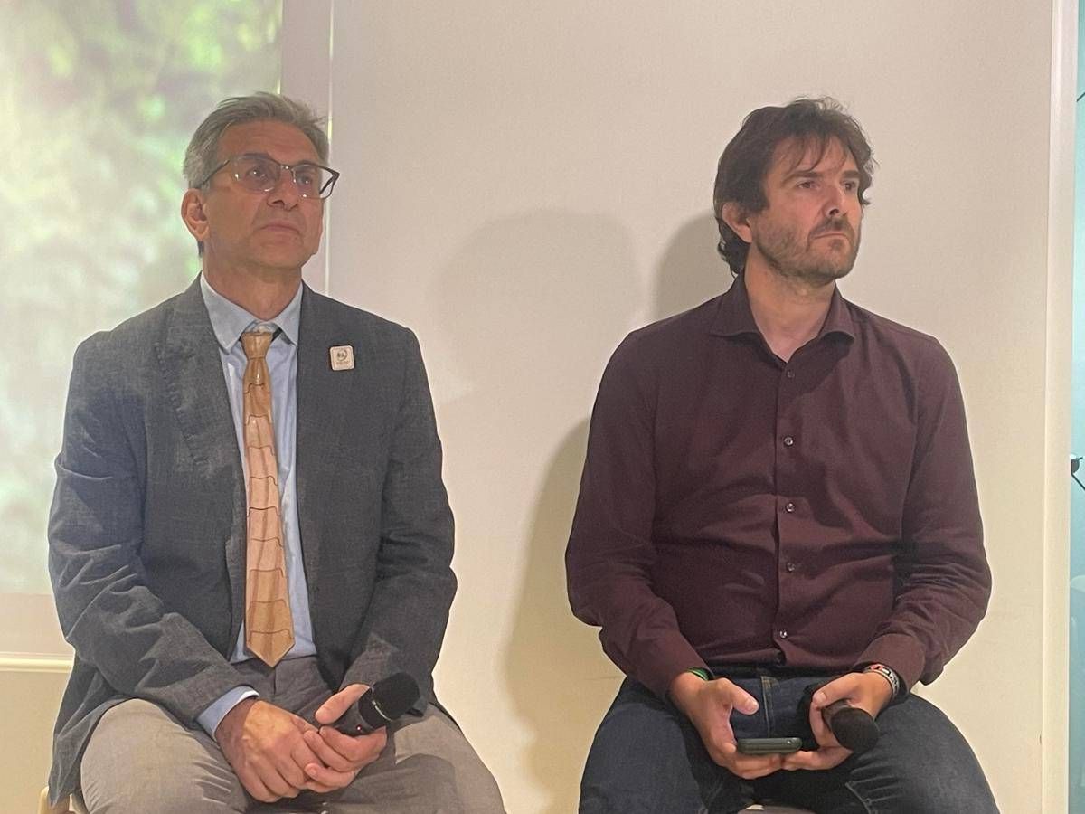 Ambiente, Brunori (Pefc): "#Rigeneraboschi comunica il valore delle foreste" - 