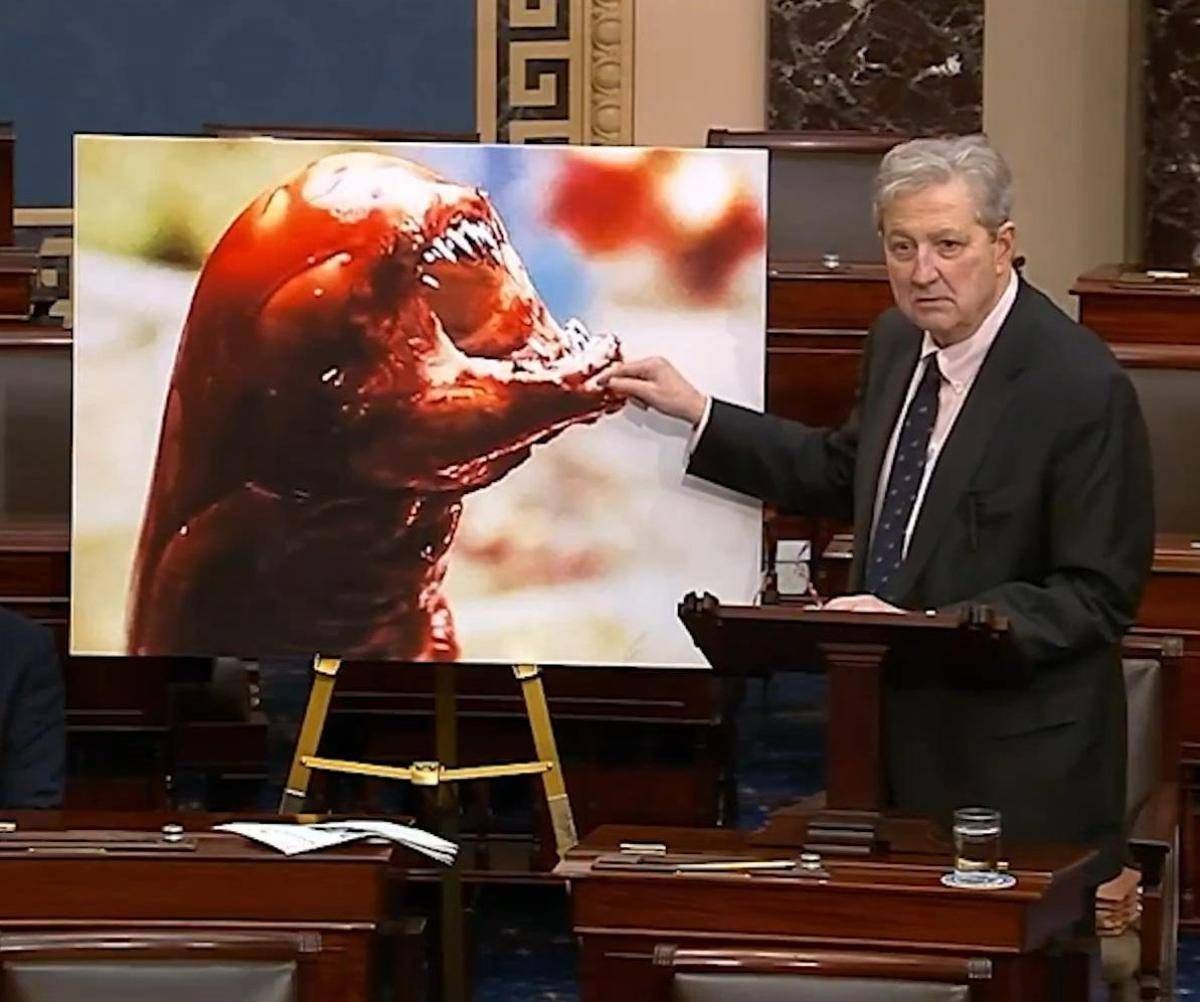 "I gamberi ti fanno diventare Alien", l'allarme del senatore Kennedy - 