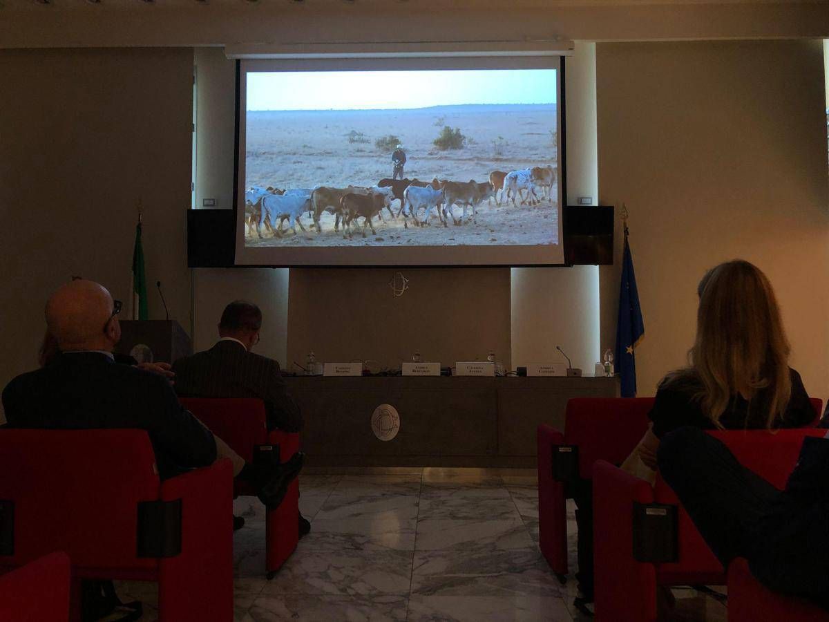 Alimenti, presentato docufilm 'World Without Cows': un mondo senza allevamenti - 
