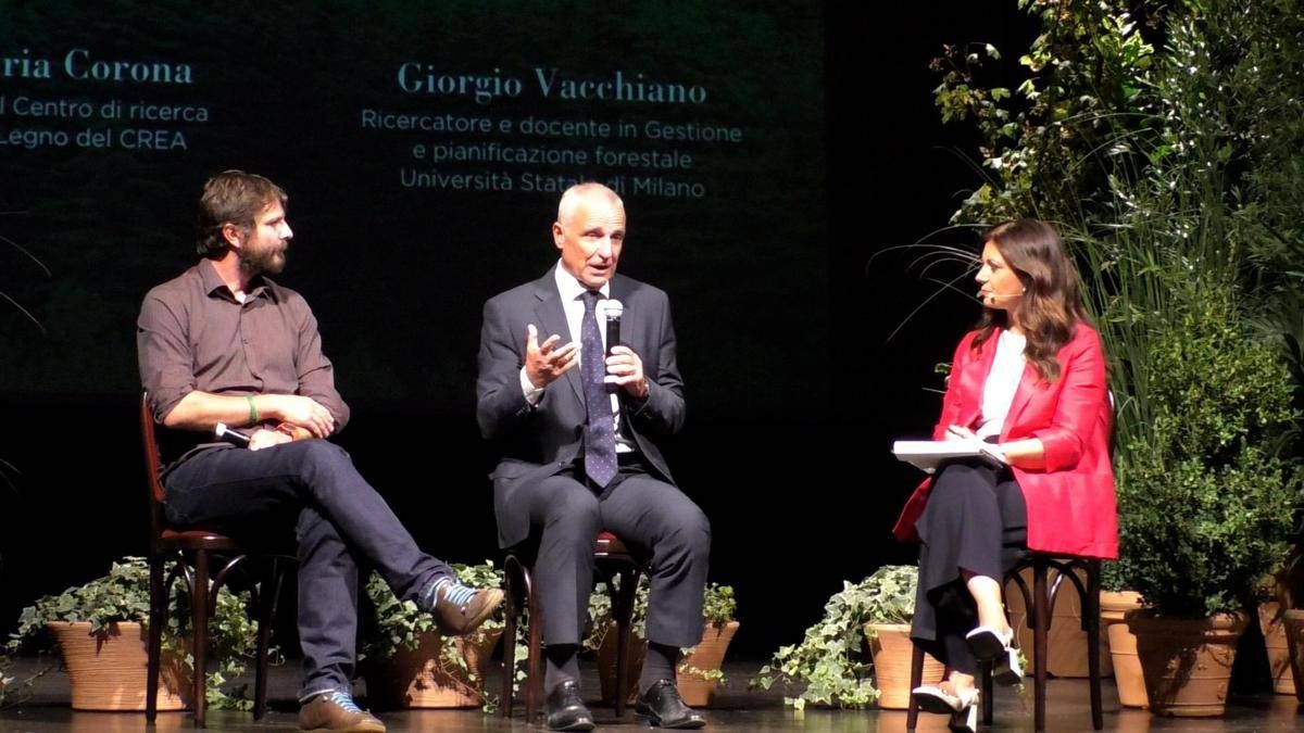 Corona (Crea): "Da situazione ambientale e geopolitica impatti su forniture del legno" - 