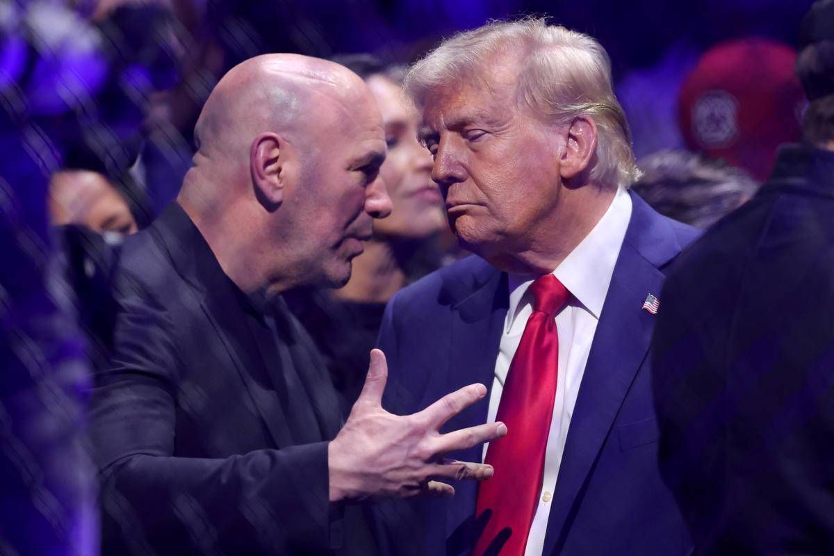 Ufc alla Casa Bianca? Come potrebbe essere lo show di arti marziali miste con... Trump - 