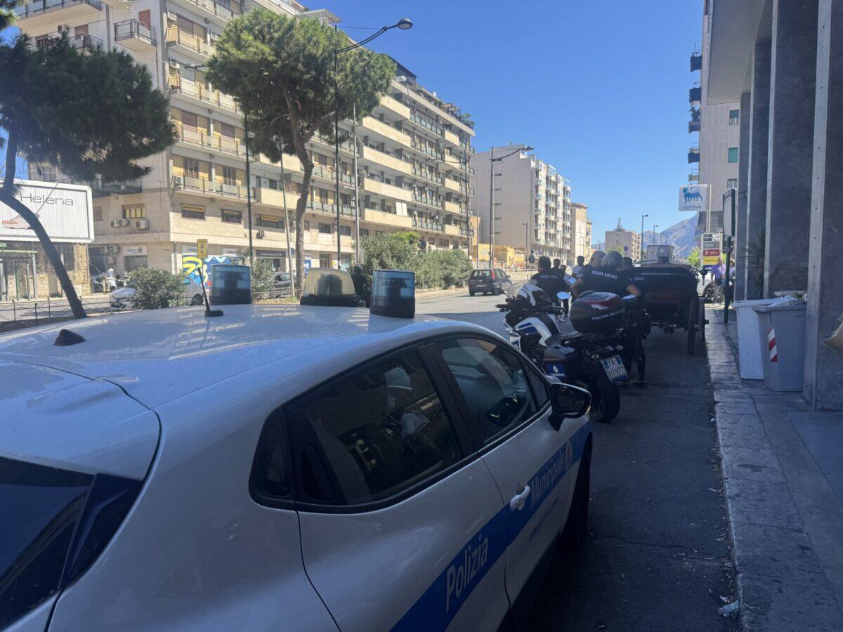 Operazione a Palermo: carrozza illegale blocca il traffico, il governo tace? - 