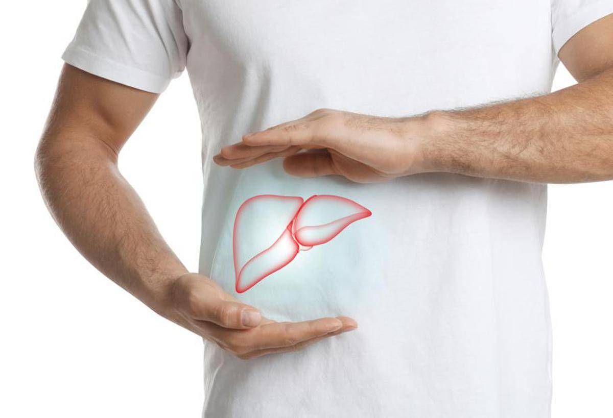 Steatosi epatica, studio dimostra efficacia nutraceutico con alghe brune -