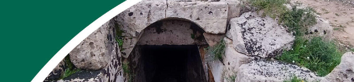 Scopri i segreti nascosti di Selinunte | Perché i Parchi archeologici siciliani sono più affascinanti di quanto pensi! - 