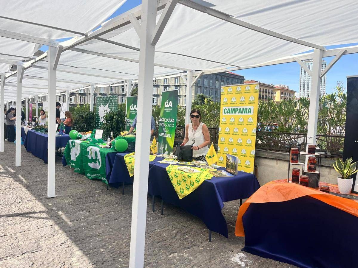 Agricoltura, Nomisma fotografa futuro Campania, tra criticità strutturali e crescita export - 