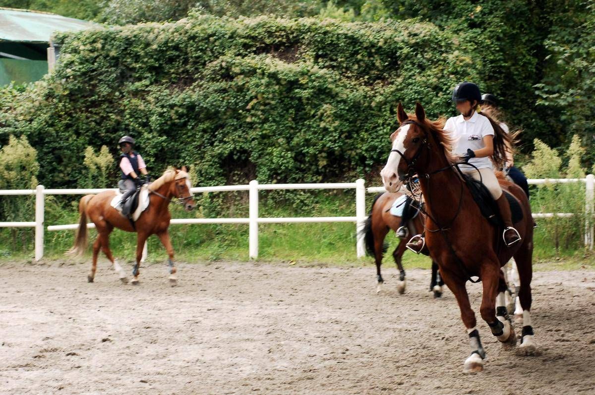Milano, abusi su allieve minorenni: arrestato istruttore di equitazione - 