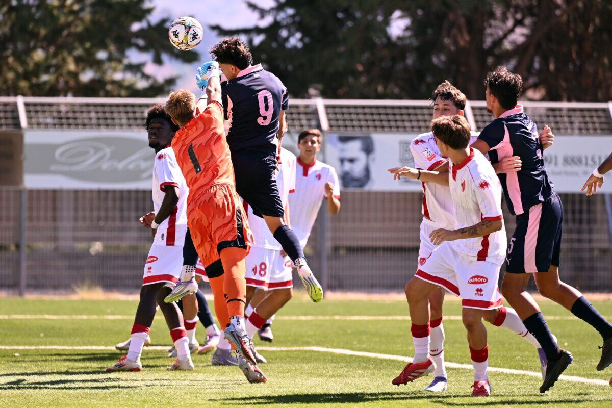 PALERMO FC soffre una sconfitta devastante con il Bari | Chi si aspettava una reazione indimenticabile? -