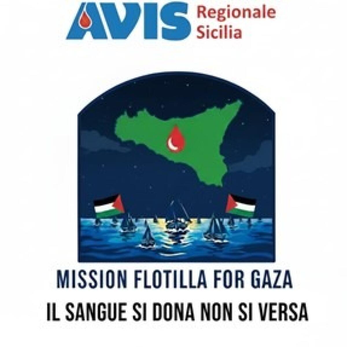 AVIS Sicilia lancia un appello inaspettato alla solidarietà | Scopri perché ogni vita conta più di quanto pensi! -