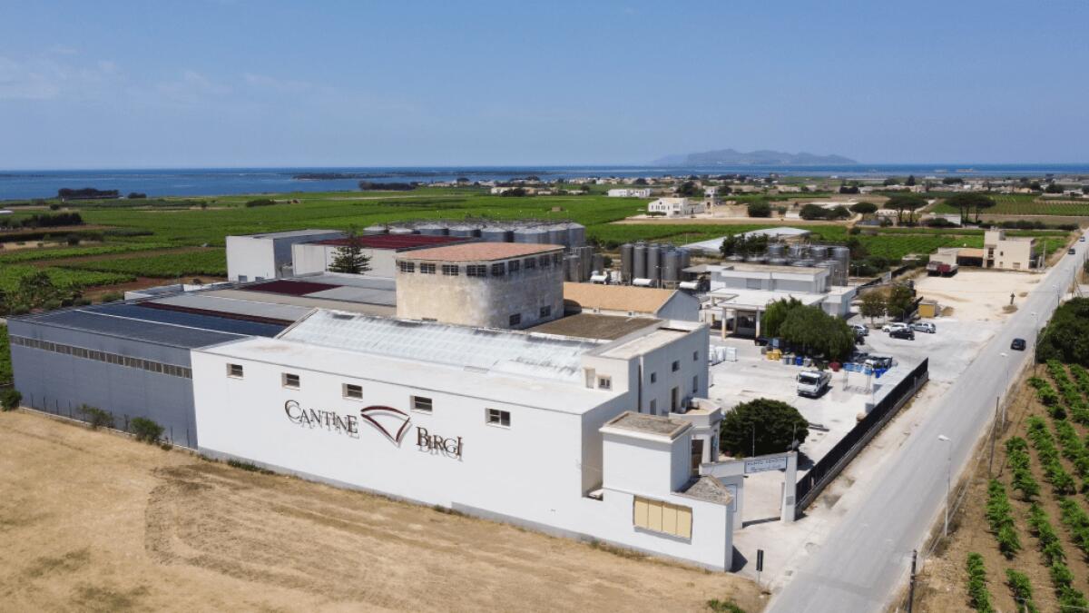 Cantine Birgi: il segreto dietro vini che raccontano secoli di storia | Scopri perché la tradizione vitivinicola della Sicilia è più viva che mai! -